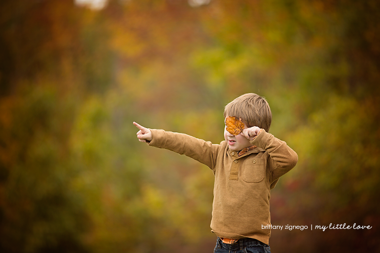 Fall Minis Wisconsin Photographer